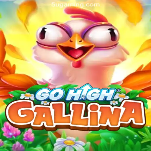 Discovering the World of GoHighGallina: A New Dimension in Gaming